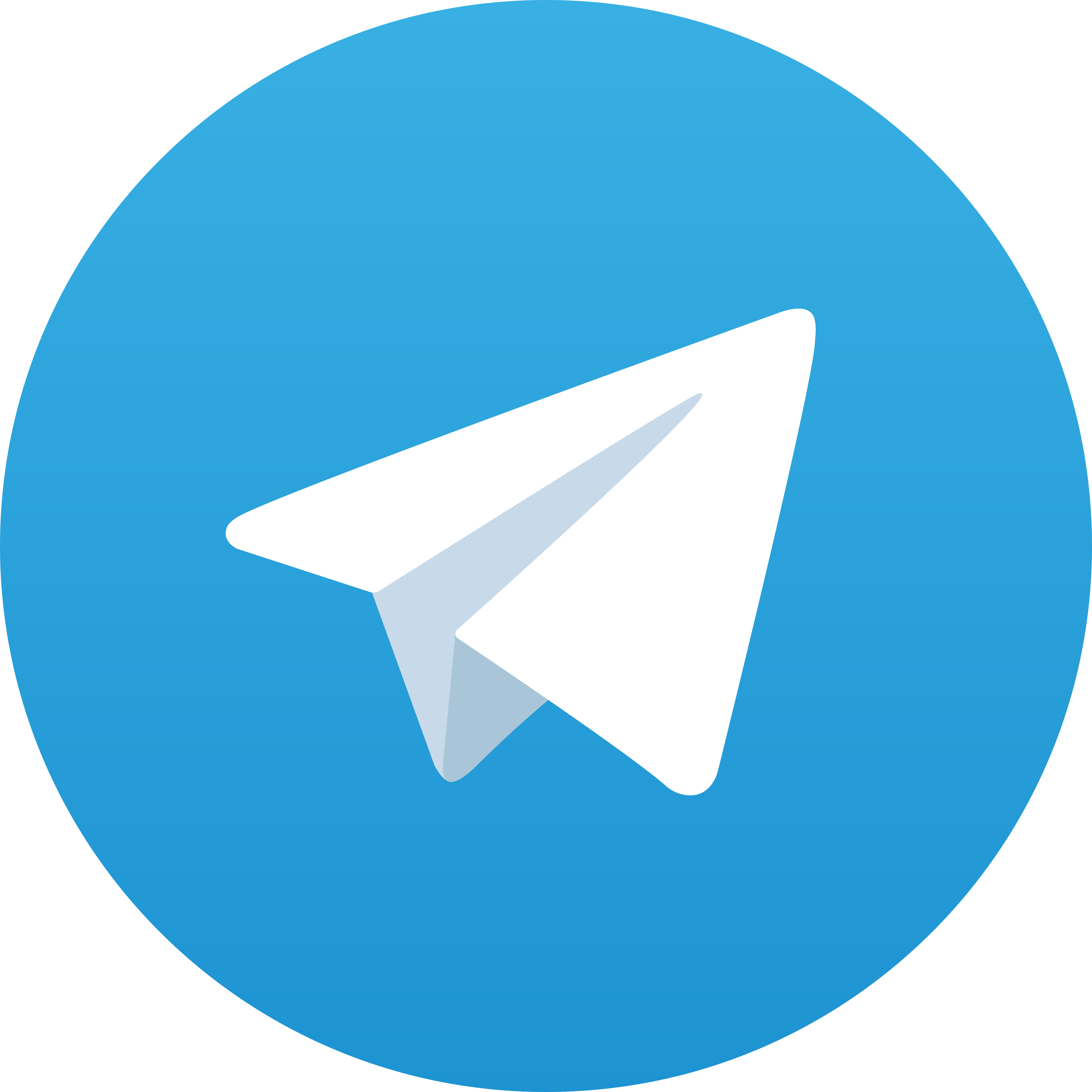 Telegram Amazonslot